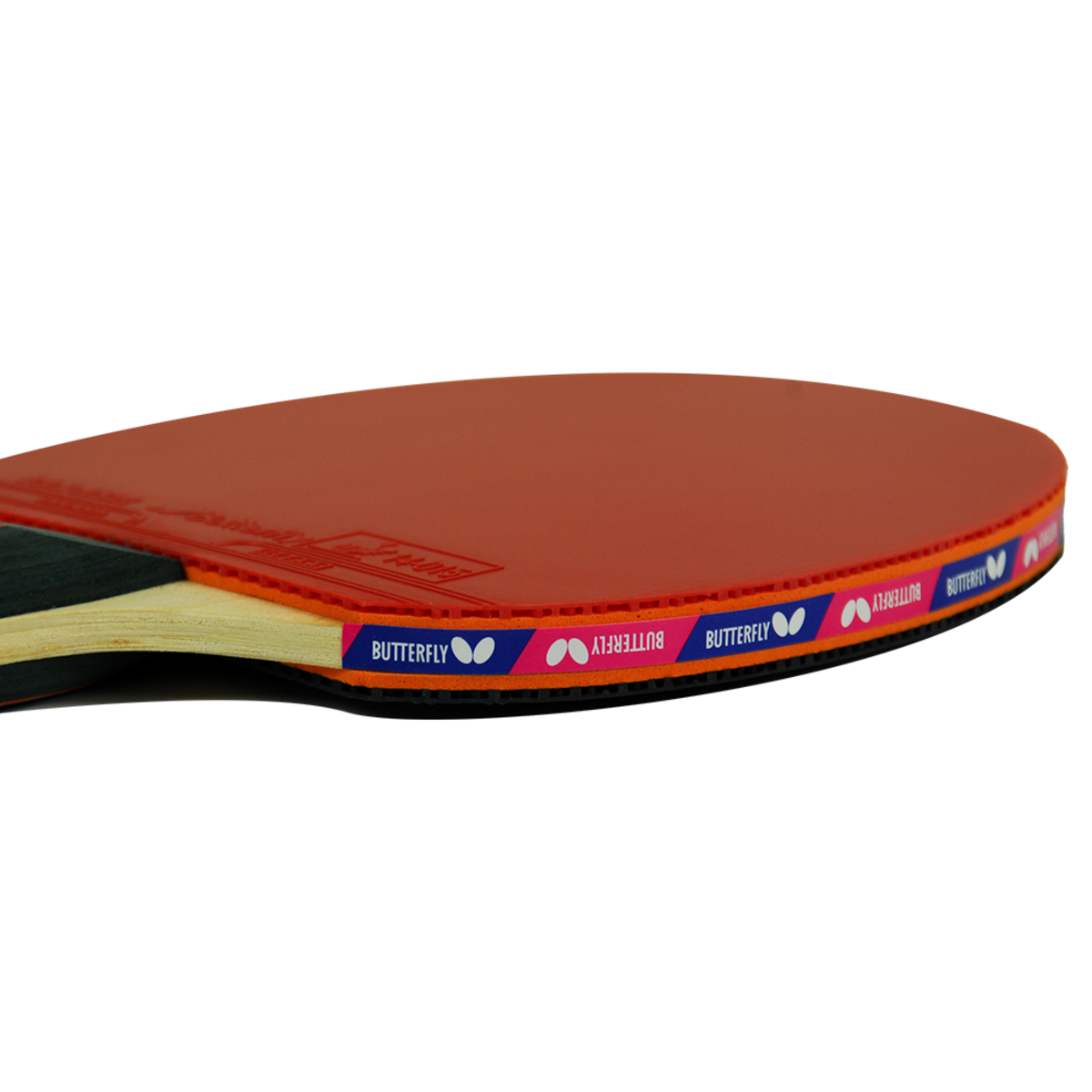 Butterfly Timo Boll 3000 Racket - Edge View