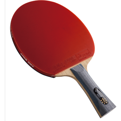 DHS R6002 Offensive Table Tennis Racket - 1