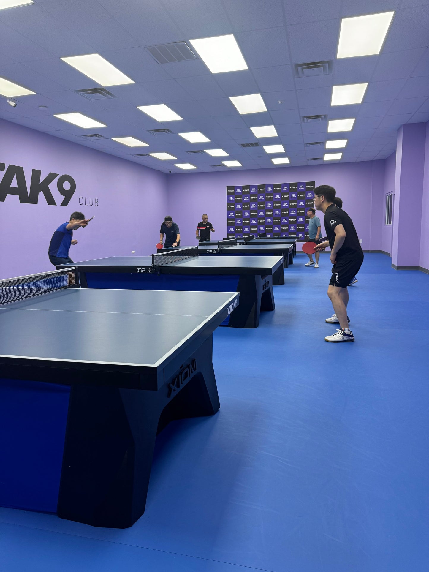JOOLA Table Tennis Sport Court Flooring - Tournament Used
