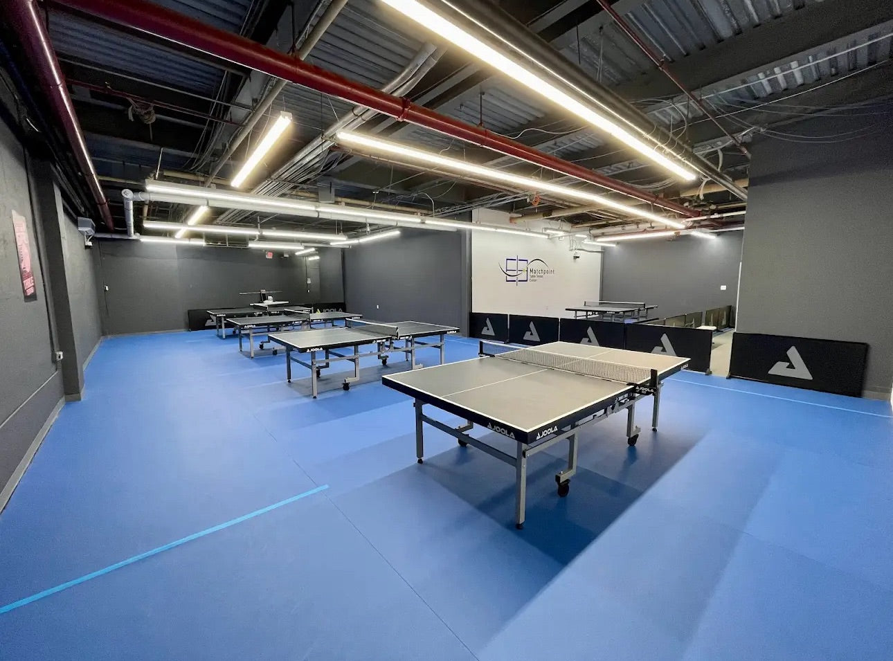 JOOLA Table Tennis Sport Court