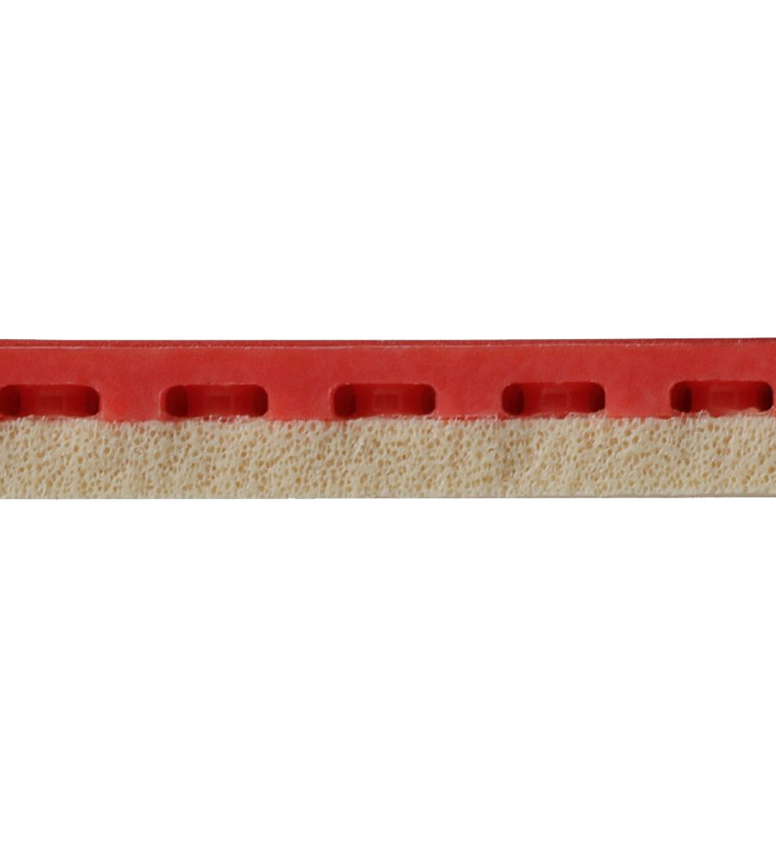 Nittaku Genextion - Dual Sponge