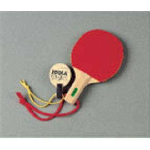 JOOLA Miniature Racket - 1