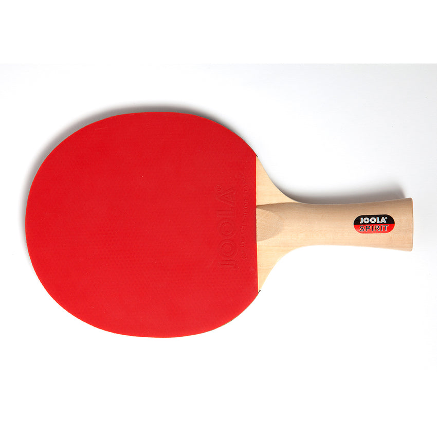 JOOLA Family Table Tennis Rackets and Balls Set