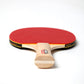 JOOLA Family Table Tennis Rackets and Balls Set