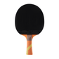 JOOLA Omega Strata Table Tennis Racket with Vizon Rubber