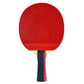Butterfly Bty 303 Flared Racket - Back View