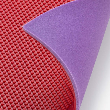 Butterfly Bugller - Short Pips Rubber - Front &  Back View