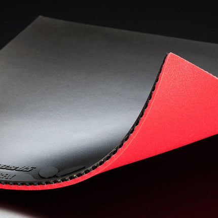 Butterfly Dignics 05 - Inverted Rubber