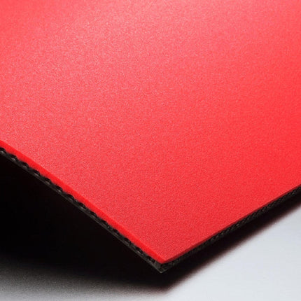 Butterfly Dignics 05 - Sponge