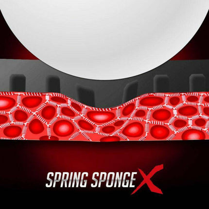 Butterfly Dignics 64 - Spring Sponge