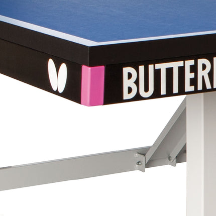 Butterfly Europa 25 Stationary Table Tennis Table - Steel Rail