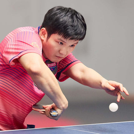 Butterfly Fan Zhendong (China) - Image2