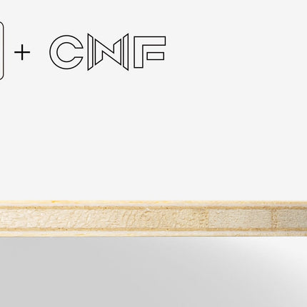 Butterfly Fan Zhendong CNF - Ply