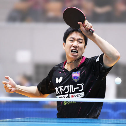 Butterfly Jun Mizutani (Japan) - Image2