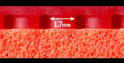 Butterfly Tenergy 05 FX - Sponge