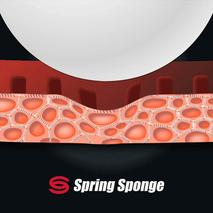 Butterfly Tenergy 25 FX - Spring Sponge