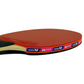 Butterfly Timo Boll 3000 Racket - Edge View