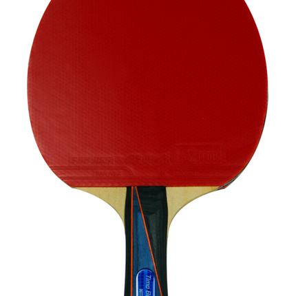 Butterfly Timo Boll 3000 Racket - Flared Handle