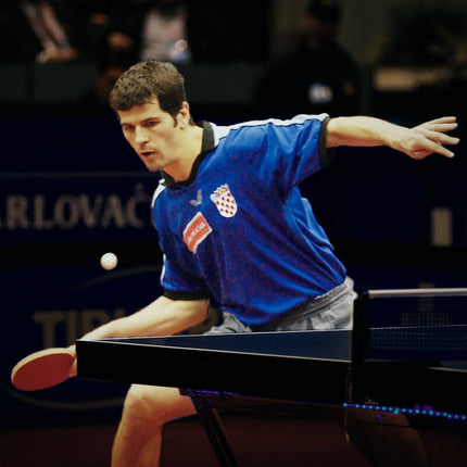 Butterfly Zoran Primorac (Croatia) - Image1
