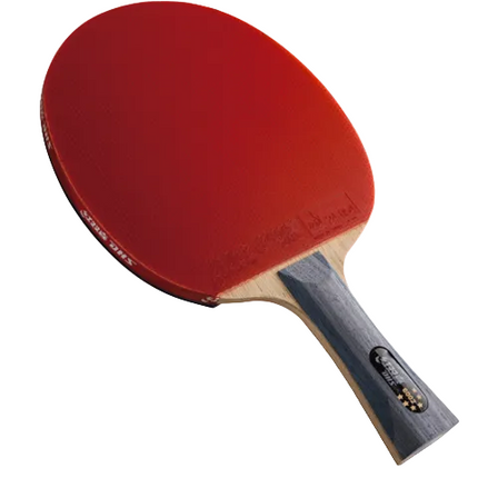 DHS R6002 Offensive Table Tennis Racket 