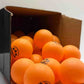 Gambler P40+ Orange Table Tennis Balls – 36 Pack - Training