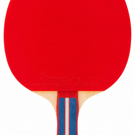 GEWO Bat Standard Pro