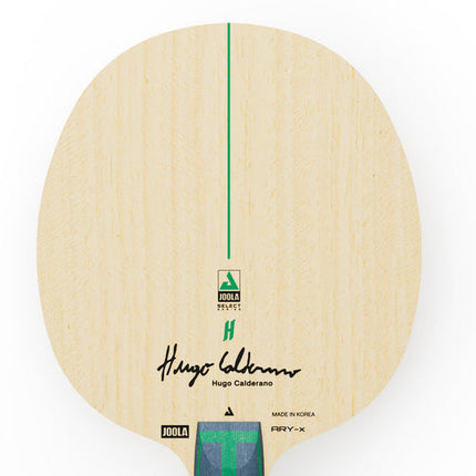 JOOLA Hugo Calderano ARY-X - Head