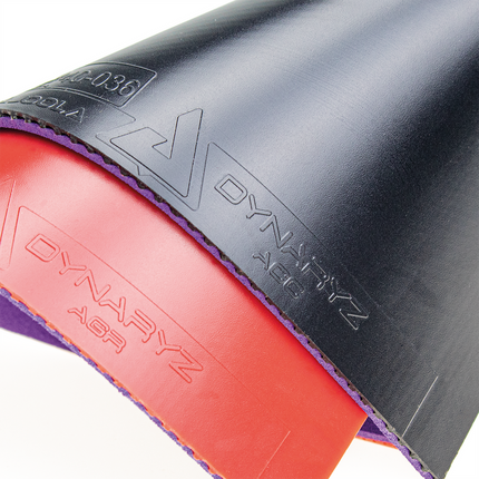 JOOLA Proline IAC Blade Pro-Line with Dynaryz AGR Rubber Sheet