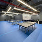 JOOLA Table Tennis Sport Court 