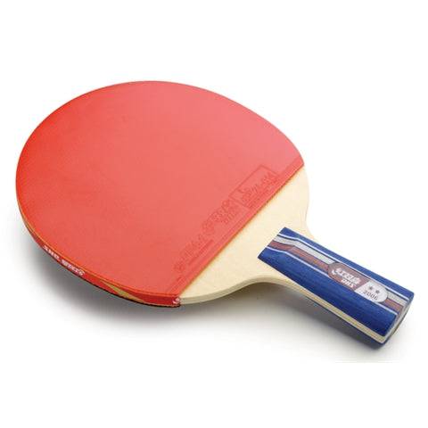 DHS A2006 Penhold - Table Tennis Paddle - 1