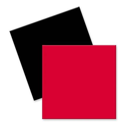 OEM Racket Paint Sheet - Penhold Paddles